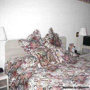 Travelers Inn And Suites Саус Лэйк Тахо Номер фото